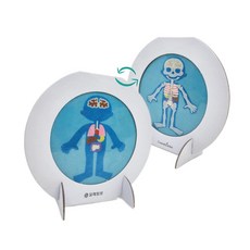 데코샌드디로 양면액자 우리의몸 공간포인트장식 사무공간장식 미니멀디자인