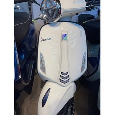 베스파 화이트 터치업페인트, 화이트터치업페인트, 1개