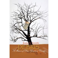 (영문도서)Debris: A Memoir of Love Grief and Courage Paperback, Tellwell Talent, English, 9781834185095