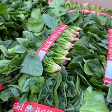 산지직송 국내산 남해 시금치 섬초 보물초, 1개, 400g