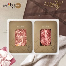 [구미우] 1++9등급 담윤 한우 선물세트 5호 등심+부채살/각250g/총500g, 1세트