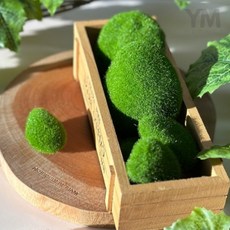 YM 인조 이끼 돌 세트 10입 인조이끼