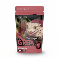 녹십자 지렙슈퍼푸드 용과맛 크레스티드게코사료, 1개, 50g