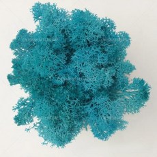 인공 녹색 식물 영원한 생명 DIY 잔디 홈 룸 미니 가짜 50g, 6)10g, Deep Tiffany Blue