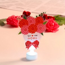 도모아 LED 카네이션 꽃다발 보석십자수 무드등 만들기 패키지 어버이날 스승의날 가정의달, 1개, 상세페이지 참조