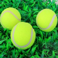 썸데이몰 테니스공 3P 테니스공 3P 구매