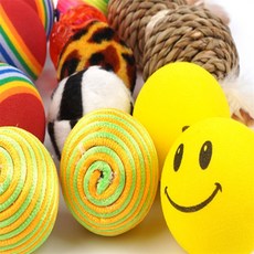 지니스 강아지 장난감 고양이공, 1P 뼈다귀형