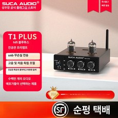 T9 진공관 앰프 블루투스 200W DAC 5 하이파이, T1 베이직 리모컨 없음 이어플러스 5725W, 기본 색상