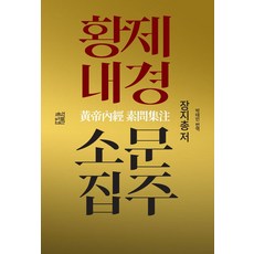 황제내경소문집주, 장지총(저) / 박태민(역), 책밥풀, 장지총