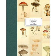 (영문도서) Vintage Prints: Mushrooms: Vol. 2 Paperback, Createspace Independent Pub..., English, 9781726143349