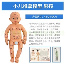 침술 손혈자리 마사지모형 발바닥 혈자리모형 손바닥 한의원 경락 포인트교육, A. 침술남자인형  경혈 지도 1개  침 1팩, 1개