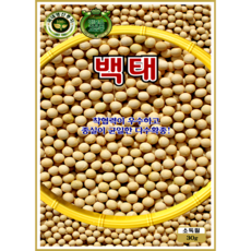 KS종묘 백태 메주콩 씨앗 30g 일반종 장류용 콩 종자 ks, 1개