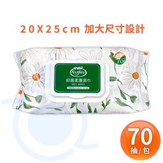安親 加大抑菌柔護濕巾 加蓋 一般型 濕紙巾 無酒精 無香精 Feelfree 和樂輔具, 1個, 70抽