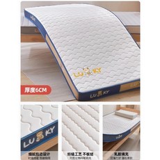 LUKY 乳膠記憶棉床墊 學生宿舍護脊榻榻米墊