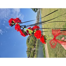 탕후루 모루장미꽃다발, 레드계열, 1개