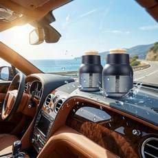 불스원 그라스 디퓨져블루 100ml 차량용방향제, 아쿠아향, 2개