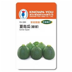 KNOWN-YOU 夏南瓜(綠球)種子，家庭園藝特選，台灣氣候適宜，新手也能輕鬆種植, 約 10 粒