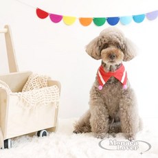 모나카러버 애견 폼폼스카프 레드 강아지목도리