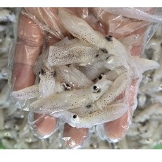 국내산 호래기 꼴뚜기 500g 자연산 제철수산물 [원산지:국산(충청남도 보령시)], 1개