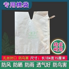 桃子專用果袋 單雙層加厚蠟紙 楊黃桃子晚熟水果套袋 DG125, 1個, 單層白色純木漿紙（200個）,寬15cm*長18cm