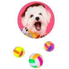 삑삑이 반짝이 반려견 야광공 형광공 애견 공놀이big6+4JMD