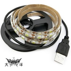 大洋 USB 5050 5V 防水燈條 1M 共陽 白光 高亮度, 1個