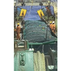 배달시키지마세요 구입후간편하게드세요 총알한치 500g 음식은 즉석으로먹어야 정말맛있습니다, 1개