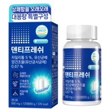 구강유산균 덴티프레쉬 메이제이, 1개, 120회분