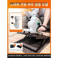 좌식 실내자전거 운동 편마비 재활 훈련기 싸이클 노인 높이조절, 1, E. Sitting and Live DualPiSty