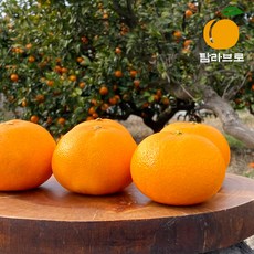 [탐라브로] 고당도 제주 천혜향 1.5kg 소과 (8-14과 내외), 1박스