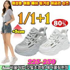 여성용 여름 메쉬 통기성 어글리 슈즈 여름 샌들 대체 여성 런닝화 다리 라인 비율 보정 펀칭 디자인 초경량 워킹화 /통굽스니커즈/여성운동화