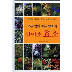 모든 암에 좋은 발효액 산야초효소 동의보감 산야초연구회