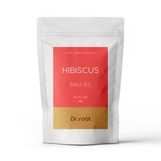 닥터루트 히비스커스 삼각티백 100T 대용량, 120g, 100개입, 1개
