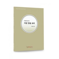 어린양을 보라 현수남, 단품