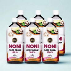 리타 베트남 노니 원액 주스 저온 착즙 쥬스 1000ml 6개 무첨가 무가당, 1L