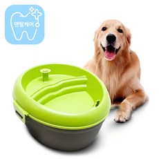 도그에이치투오 반려동물 구강케어 대용량 자동급수기 6L, DH020-G, 그린, 1개