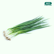 모티마켓 실파, 1개, 80g