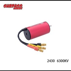 SURPASS HOBBY 2030 2040 2430 2435 2440 2445 방수 브러시리스 모터 Wtloys 112 114 116 118 120 124 RC 자동차 트럭용, 18) 2445 3600KV