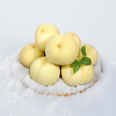 [당도보장] 고당도 설아복숭아 겨울복숭아 백도, 가정용, 1박스, 1kg