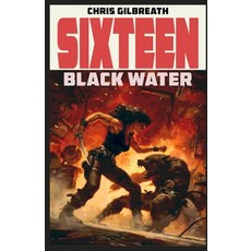 (영문도서)Sixteen: Black Water Paperback, Independently Published, English, 9798263640415