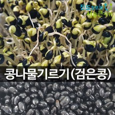 [25년 11월 햇콩 출하] 국산 콩나물콩 키우기 쥐눈이콩 서목태 간편재배 잡곡밥용으로도 좋아요 진도장모와 서울큰사위, 1개, 500g