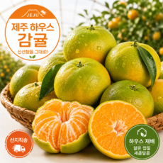 [위드윈특가] 청정제주 햇살담은 산지직송 꿀브릭스 하우스감귤, 1박스, 5kg