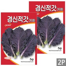 세인화분 경신 적갓 5g - 겨자채 씨 씨앗 갓 갓씨 갓씨앗, 2개