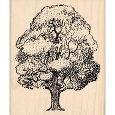 Stamps by Impression Oak Tree 고무 스탬프