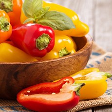 국내산 미니 파프리카 250g 4팩, 미니파프리카 250g 4팩, 4개