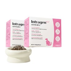 인트라젠 플러스 강아지 고양이 유산균 프로바이오틱스 종합영양제 30개입 2개