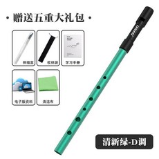 DYAO 金色C调 金属竖笛 初学者入门乐器, 1個, 绿色D调