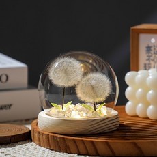 永生花蒲公英乾花標本玻璃罩小夜燈：台灣出貨，創意桌面擺件，送女友精緻禮物, 1朵彩色蒲公英,木底座+圆玻璃+礼袋