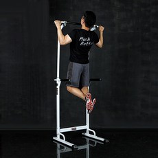 반석스포츠 비스펙 치닝디핑 기본형 철봉 턱걸이 풀업 친업 상체 운동 기구, 화이트