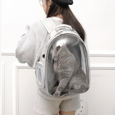 Auxamy 강아지 고양이 이동장 가방 우주선 백팩, 그레이, 1개